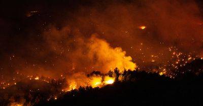 'Imagine 2,000 trees burning at once': The Manc filmmaker fighting Rhodes' devastating blazes - manchestereveningnews.co.uk