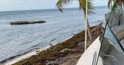 Family hit out at beach 'like Humber estuary' in £18,000 TUI Mexico holiday from hell - manchestereveningnews.co.uk - Mexico