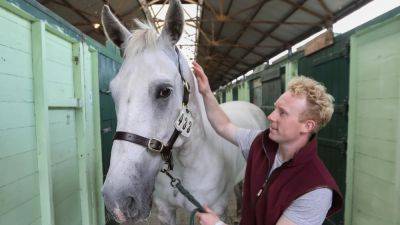 Dublin Horse Show returns to RDS