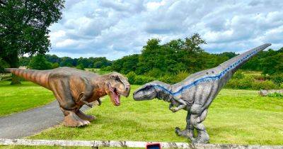 We went to the safari park where dinosaurs are roaming this summer 40 minutes from Manchester