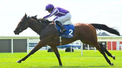 Royal Ascot - Ryan Moore - Little Big Bear retired due to injury - rte.ie - Guinea - county Lane