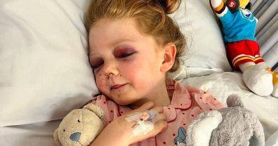 Horror as girl, 8, left with brain injury and 15 broken bones in 'freak' zorbing accident