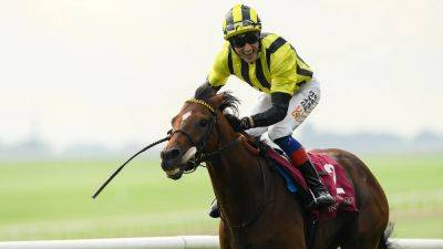 Roger Varian - Eldar Eldarov eases to win in Irish St Leger at the Curragh - rte.ie - France - Ireland