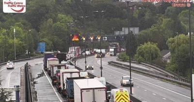 M4 closed as crash causes heavy traffic - live updates - walesonline.co.uk - county Newport