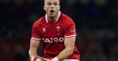 Gareth Anscombe - Gareth Anscombe reveals his relief at avoiding an unwanted World Cup double - breakingnews.ie - Portugal - Turkey - Japan