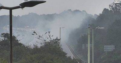 Van bursts into flames on M4 - walesonline.co.uk