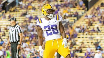 LSU freshman running back bulldozes defender to ground: 'This guy is a monster'