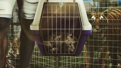 Kyle Maccord - Best trolls from Week 3 in college football from Duke Blue Devils, LSU Tigers, more - ESPN - espn.com - Ireland - state Texas - state Mississippi - county Green