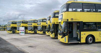 Say yellow to the Bee Network as new app launches to make travel even easier - manchestereveningnews.co.uk