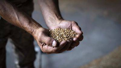 Ukraine files WTO case against Poland, Hungary and Slovakia over their unilateral grain bans