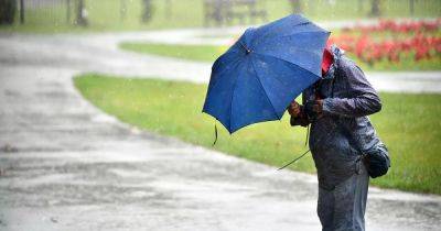 Severn Bridge closed as heavy rain and 60mph winds batter Wales – live - walesonline.co.uk