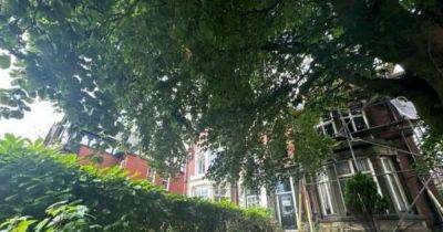 Fears over 'bins, fly-tipping and rats' as new HMO gets green light despite dozens of objections - manchestereveningnews.co.uk