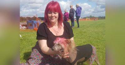 Tributes paid to lollipop lady killed in horror crash involving motorbike and tipper - manchestereveningnews.co.uk - county Cheshire