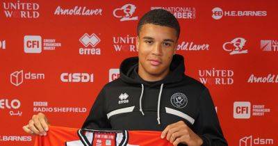 Sheffield United - Paul Heckingbottom - Michael Collins - Hamilton Accies - Sheffield United fans excited by Ryan Oné as former Hamilton Accies kid nets on U21 debut - dailyrecord.co.uk - Scotland