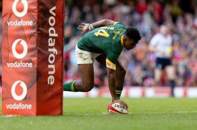 From no-hopers to favourites: How defending champion Boks' fortunes have changed in four years