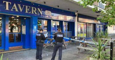 Girl, 3, suffers 'significant injuries to face' after dog attacked outside town centre bar