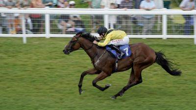 Juveniles set to tackle testing going in Mill Reef Stakes at Newbury - rte.ie - county Johnson