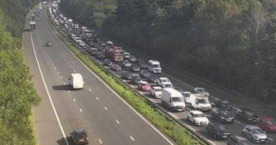 Debris on the carriageway brings traffic to a standstill on the M4 - walesonline.co.uk