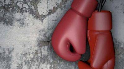 Organisers promise adequate security as GOtv Boxing Night holds today