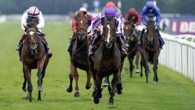 Aidan Obrien - Continuous supplemented to Prix de l'Arc de Triomphe field by trainer Aidan O'Brien - rte.ie