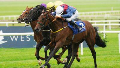 Caught U Looking stays on best to win Weld Park Stakes at the Curragh - rte.ie - Ireland - Guinea