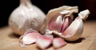 Scientists discover new way to get rid of garlic breath with everyday food