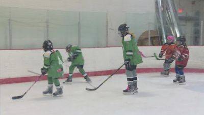 Tween Girls' Hockey League cancels 2023-24 season, blames lack of city ice time - cbc.ca