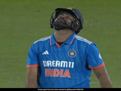 Watch: Glenn Maxwell In Disbelief After Stunning Catch. Rohit Sharma's Reaction Is Viral