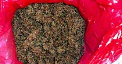 Kilo of cannabis intercepted by police on way to be delivered in Manchester from overseas