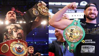 Tyson Fury and Oleksandr Usyk to fight for undisputed heavyweight title