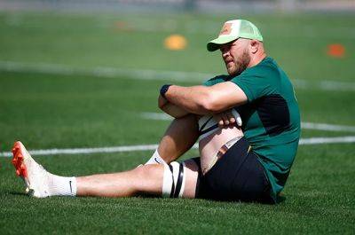 Duane Vermeulen - Jacques Nienaber - Vermeulen happy to don Bok jersey again after watching Ireland loss from stands - news24.com - South Africa - Ireland