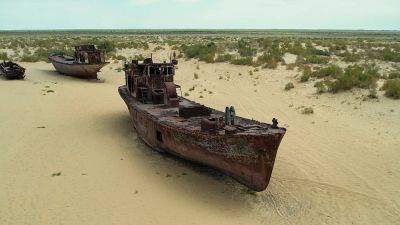 Re-greening Uzbekistan's desertified Aral Sea region - euronews.com - Uzbekistan - Israel - Soviet Union