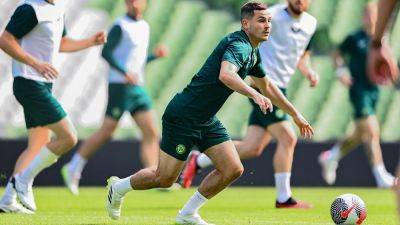 Spark of creativity lacking from Ireland's workmanlike midfield