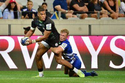 Stormers sign deal with promising English outside back: 'He fits our game model perfectly'
