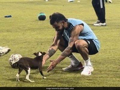 Virat Kohli - Kl Rahul - Virat Kohli Plays With Puppy During Asia Cup 2023 Practice - Video Wins Hearts - sports.ndtv.com - Australia - India - Pakistan - Nepal