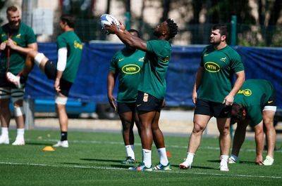 RWC tickets still available, but would you fork out R25 000 to watch Boks tackle Ireland? - news24.com - France - Romania - South Africa - Ireland - Tonga