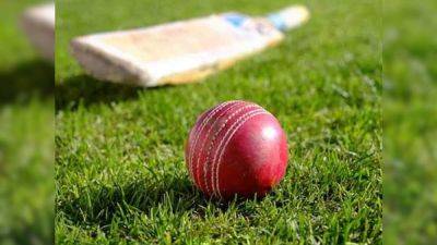 Mumbai Cricketer Dies After Ball From Another Match Hits Him On Head