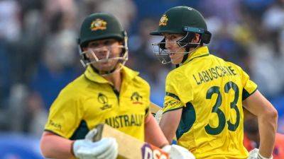 David Warner - George Bailey - David Warner Likely To Play T20Is Against West Indies Over ILT20 - sports.ndtv.com - Australia - New Zealand