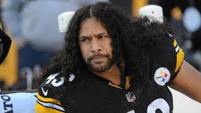 Pro Football Hall of Famer Troy Polamalu names key to Steelers' resiliency en route to playoff berth