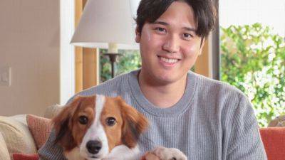 U.S. Embassy in Japan gives fake visa for Shohei Ohtani's dog - ESPN