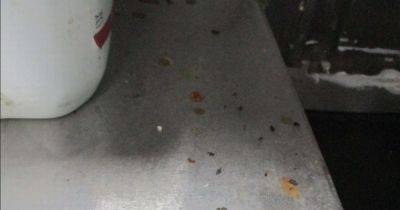 Inside the filthy chicken takeaway covered in mouse droppings
