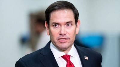Rubio demands USA Boxing reverse course on trans policy: 'Allowing men to hit women is reprehensible' - foxnews.com - Usa