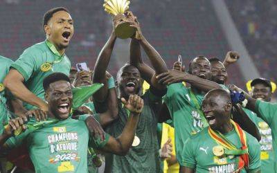 Victor Osimhen - No clear favourites as African stars go to war in Cote d’Ivoire - guardian.ng - Algeria - Tunisia - Egypt - Senegal - Morocco - Ghana - Ivory Coast - Nigeria