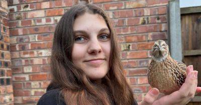 'I hatched my best friend from an egg I bought at Sainsburys' - manchestereveningnews.co.uk - Instagram