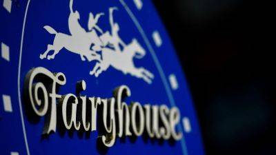 Fairyhouse meet rescheduled due to frozen track
