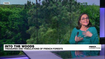 French forests: Putting down roots - france24.com - France