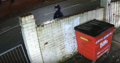 Police want to speak to this man after 'serious sexual assault' on girl in alleyway