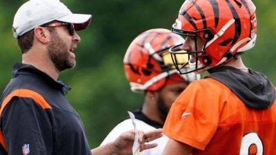 Cincinnati Bengals - Zac Taylor - Adam Schefter - Mike Vrabel - Sources: Titans near deal with Brian Callahan to be coach - ESPN - espn.com - state Tennessee