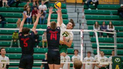 Heslinga, Sargent have young Alberta men's volleyball team playing beyond its years