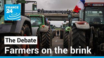 Charles Wente - Farmers on the brink: What's behind Europe's spreading protests? - france24.com - France - Eu